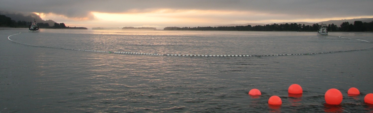 Wide angle view of the Estuary Pair Trawl Project